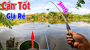 Siêu Phẩm Cần Câu Cá Diếc 3m9 Giá Rẻ - Chất Lượng Cao | Cần Câu Cá Diếc 400k