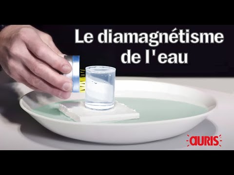 Vidéo: Quel est l'impact des liquides sur un aimant ?