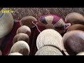 معرض من صنع المرآة البدوية قبائل بني گيل معرض من صنع المرآة البدوية قبائل بني گيل