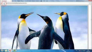Html Dersleri - Ders 5 | Html