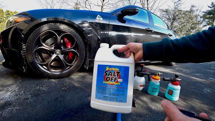 Salt and Brine Remover Comparison Testing and Review ( Salts Gone, 303,  NHOU, Salt Off & More ) 