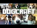 Molly's Rescue Story | Dogcraft (Ep.244)