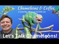 Chameleons &amp; Coffee