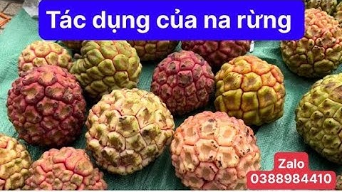 Tác dụng của quả na rừng