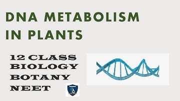 DNA Metabolism in Plants | Chromosomal basis of inheritance |12 Class | Botany | Science Easy Tech