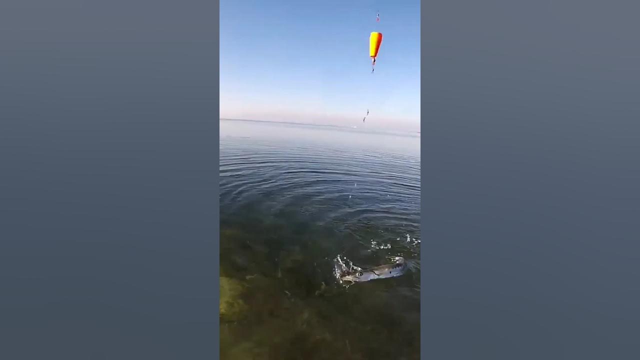 Cuda Flats Fishing, Double Fluke on a Popping Cork #fishing #fish # ...