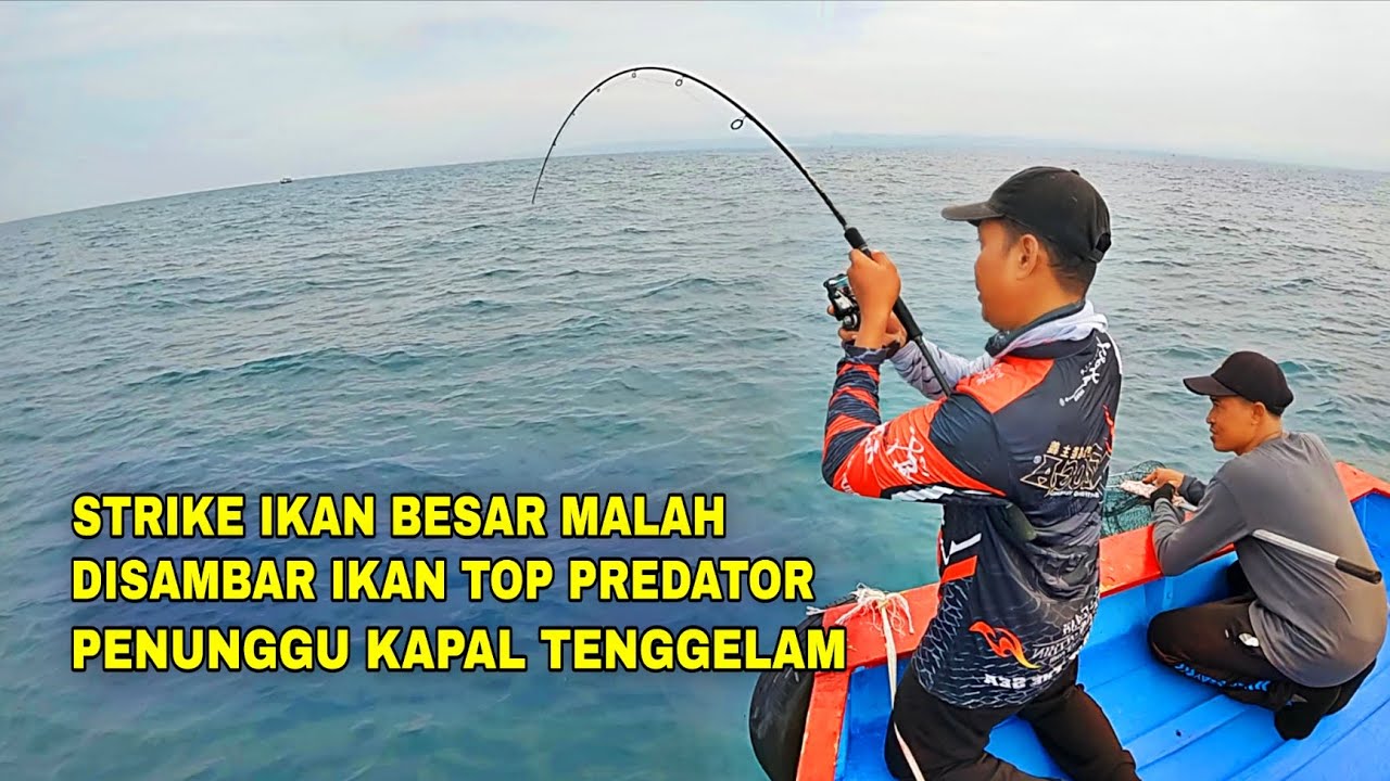 SPOT ISTIMEWA🔥‼️TIBA-TIBA DISAMBAR KERAPU MONSTER PAS PESTA STRIKE KAKAP TOMPEL, SPOT RUMPON KEITARO