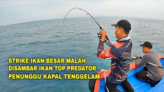 Download Lagu SPOT ISTIMEWA🔥‼️TIBA-TIBA DISAMBAR KERAPU MONSTER PAS PESTA STRIKE KAKAP TOMPEL, SPOT RUMPON KEITARO MP3