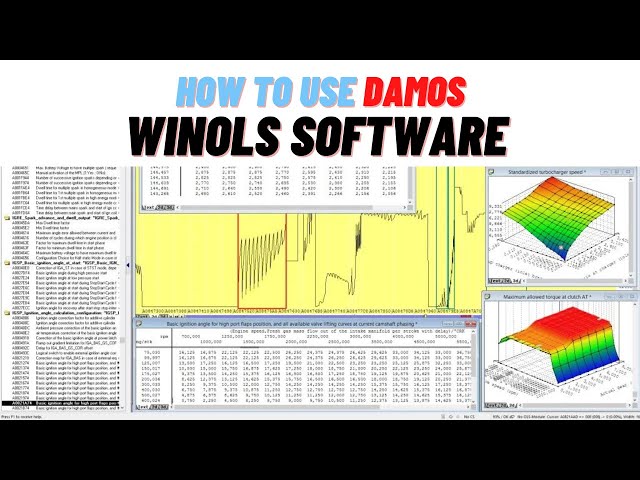 How to use DAMOS file in WinOLS ? class=