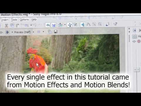 Sony Vegas Tutorial Shaky Cam Effect With NewBlueFX Motion