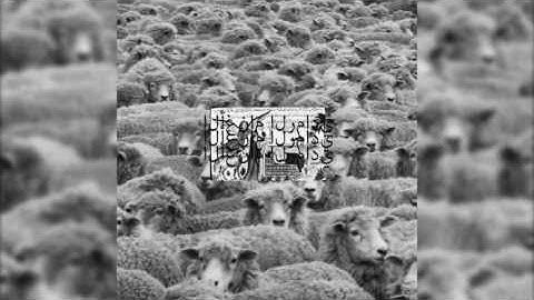 ONLINE CML RAID ON RUSTOPIA US LONG