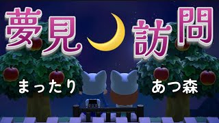 【あつ森配信】寝る前ののんびり気ままなあつ森タイム【全員ネコ住民を目指すコハク島】