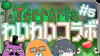 【#terraria 】#5  ！！右の海へいくううぅ！！[メロタ・ペポン視点]【VTuber/コラボ配信/HIGE帽/三雲穿ノ介/山野ヒグマル】