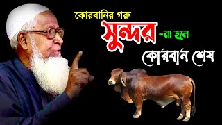 কোরবানির গরু সুন্দর হতে হবে | Allama Lutfur Rahman