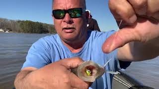 Choking the Smith Bros. Baits - Crappie Fishing