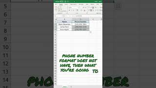 How to Format Phone Numbers in Excel screenshot 5