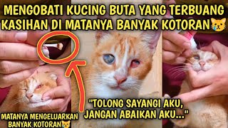 Mengobati Kucing Buta Terbuang Matanya Banyak Mengeluarkan Kotoran