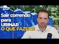 URGÊNCIA para urinar?  O que piora e o que melhora?