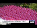 Rapides hospital hosts second annual ‘Quack for a Cure’ for breast cancer awareness