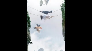 师妹们把大侠的雕给做了,大侠居然抢走了她们的#武侠 #顺品郎