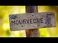 Mmm Мурведр Mourvèdre Monastrell Mataro