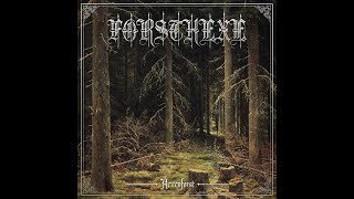 Forsthexe - Zu den Sternen