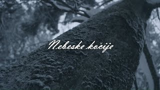 Novi fosili - Nebeske kočije (Official lyric video)