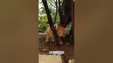 Metaheuristiek: de kunst van praktische optimalisatie