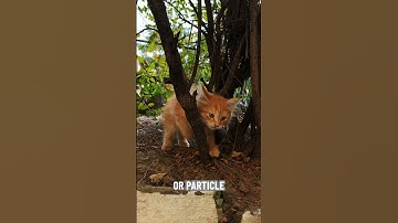 Metaheuristiek: de kunst van praktische optimalisatie