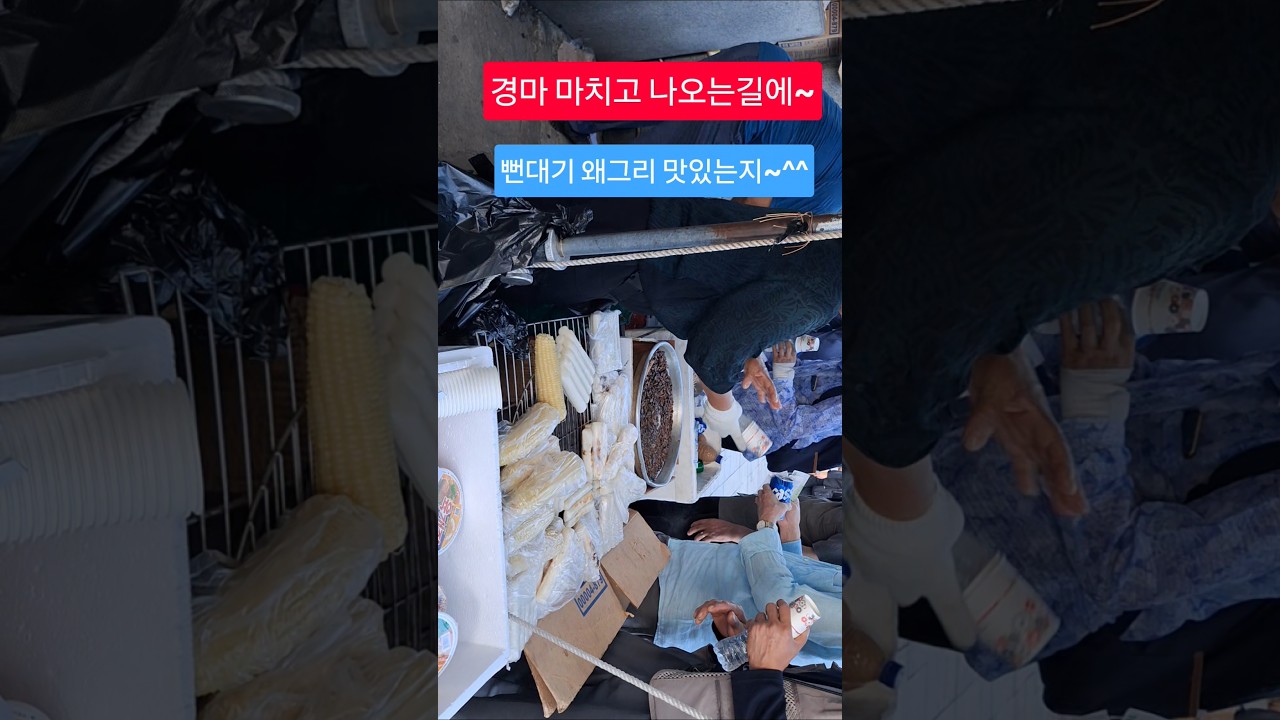 바쁘니까능! 셀프계산^^#경마 #말 #달려라말 #shorts