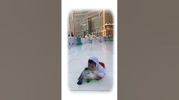 تلاوة جميلة جدا للشيخ فيصل غزاوي #subscribe #short #video #reel #makkah #تلاوات