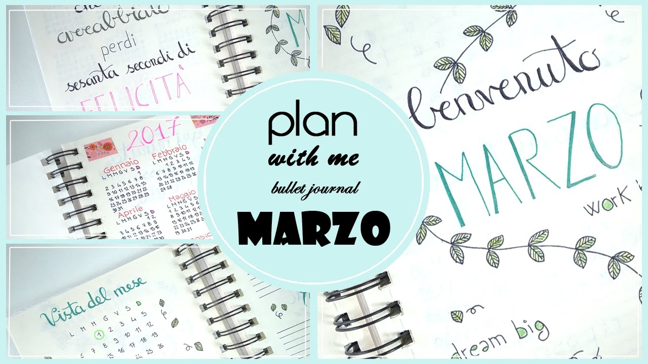 Plan with Me March 2017/my Bullet Journal