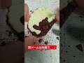 失敗したら罰ゲームチャレンジ！！【キャラパキ発掘恐竜チョコ】