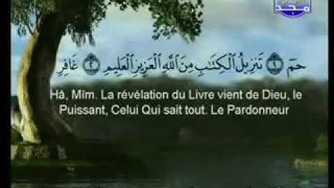 سورة غافر كاملة بصوت الشيخان السديس والشريم
