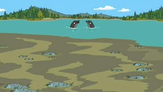 Family Guy - The Screaming Black Dolphins