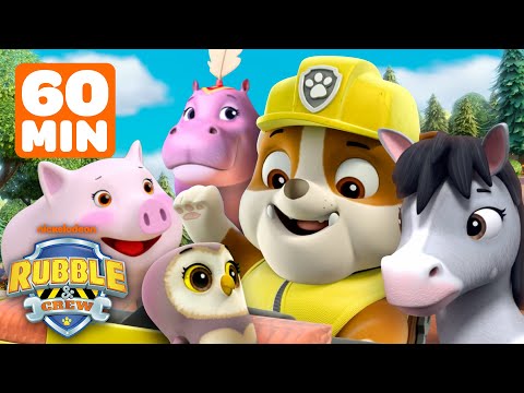 Rubble's WILD Animal Rescues! w/ PAW Patrol Zuma, Rocky & Chase | 1 Hour | Rubble & Crew