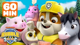 Rubbles Wild Animal Rescues W Paw Patrol Zuma Rocky  Chase  1 Hour  Rubble  Crew