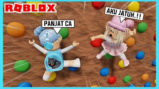 Aku Dan Adiku Menjadi Pemanjat Tembok Hebat Di Roblox Brookhaven ft @Shasyaalala