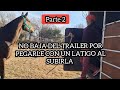 PARA BAJARLA EN LA 1ERA VISITA TARDAMOS CERCA DE 1 HS EN LA 2DA  5 MINUTOS #caballossalvajes#horse #