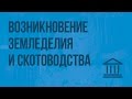 Возникновение земледелия и скотоводства. Видеоурок по Всеобщей истории 5 класс