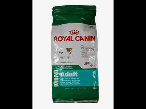 อาหารสุนัข Royal Canin สำหรับสุนัขโต พันธุ์เล็ก | ข้อมูลล่าสุดเกี่ยวกับอาหาร สุนัข royal canin