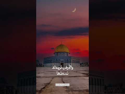 دعني أراك علاء ناجي 
