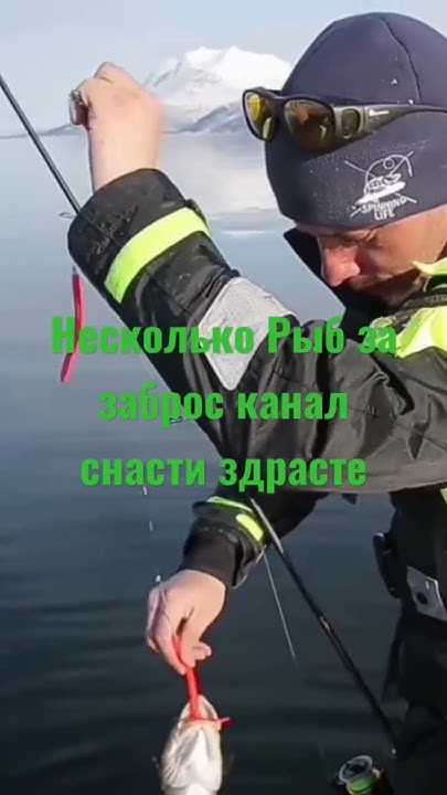 Несколько рыб за раз Канал снасти здрасте подписывайтесь на их и на мой ...