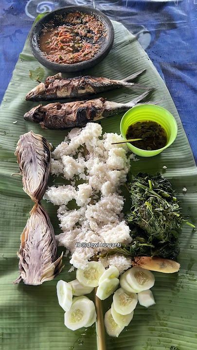 Part 2 cooking anything in the garden always tastes delicious