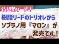 【トリオレ新発売！樹脂リード】マロンという名の良いとこどりのヤツ出ました！『ソプラノ編』