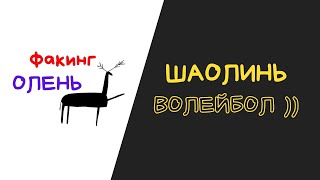 Ох уж этот жестокий китайский волейбол!