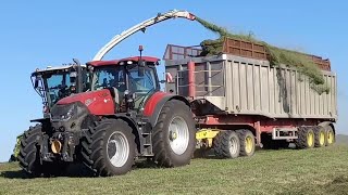 Landwirtschaft auf Gut Hohen Luckow ackern vom Frühjahr-Herbst für mehr als 2500 Kühe🐄🌾🐄