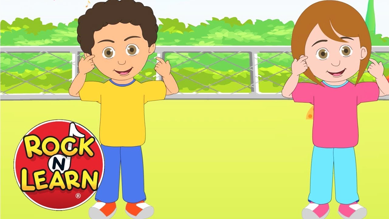 Head, Shoulders, Knees and Toes Fun Exercise Song for Kids YouTube