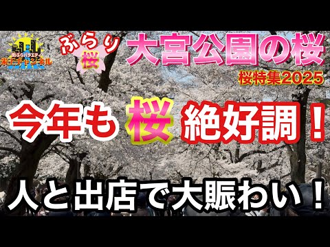 【ぶらり.埼玉.桜】2025年も大宮公園の桜が満開になったのでぶらりレポート
