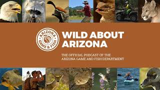 AZGFD Outdoor Expo - Tortoise Adoption & OHV Safety